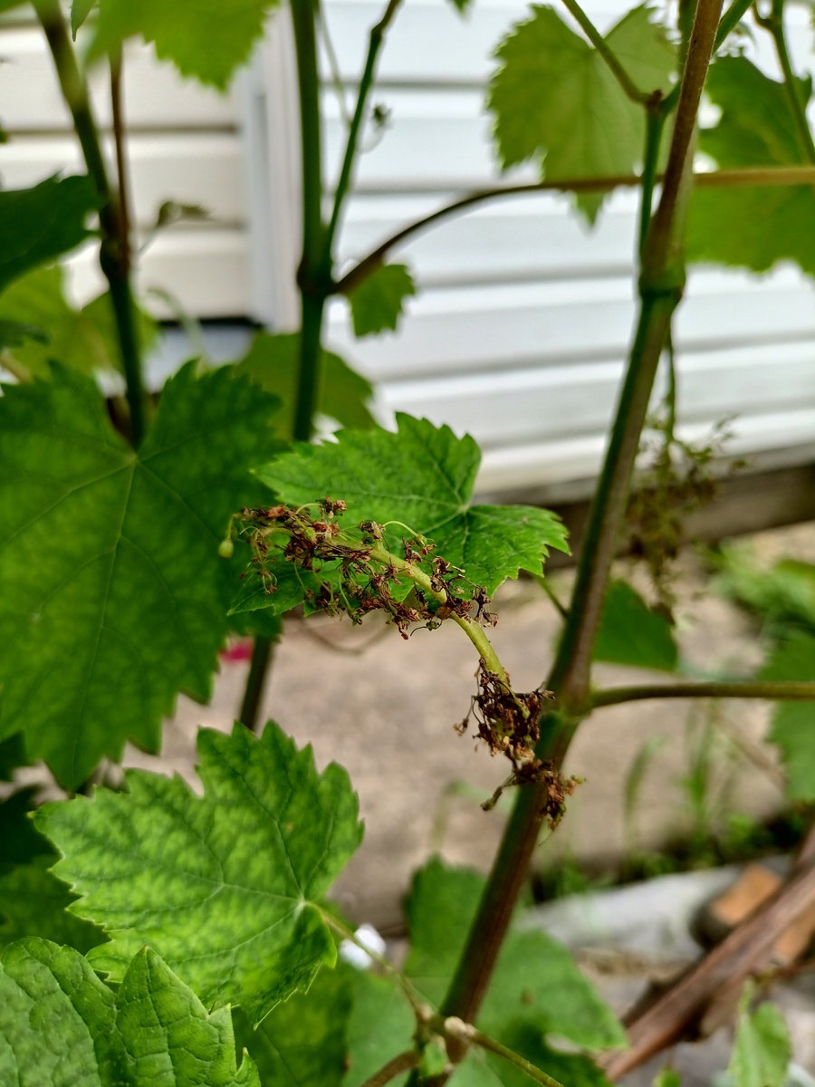 Фото подписчика