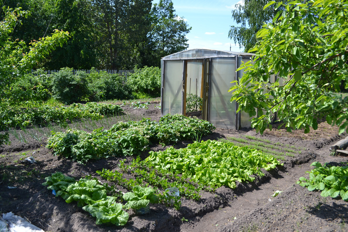 Общий вид с другого ракурса
