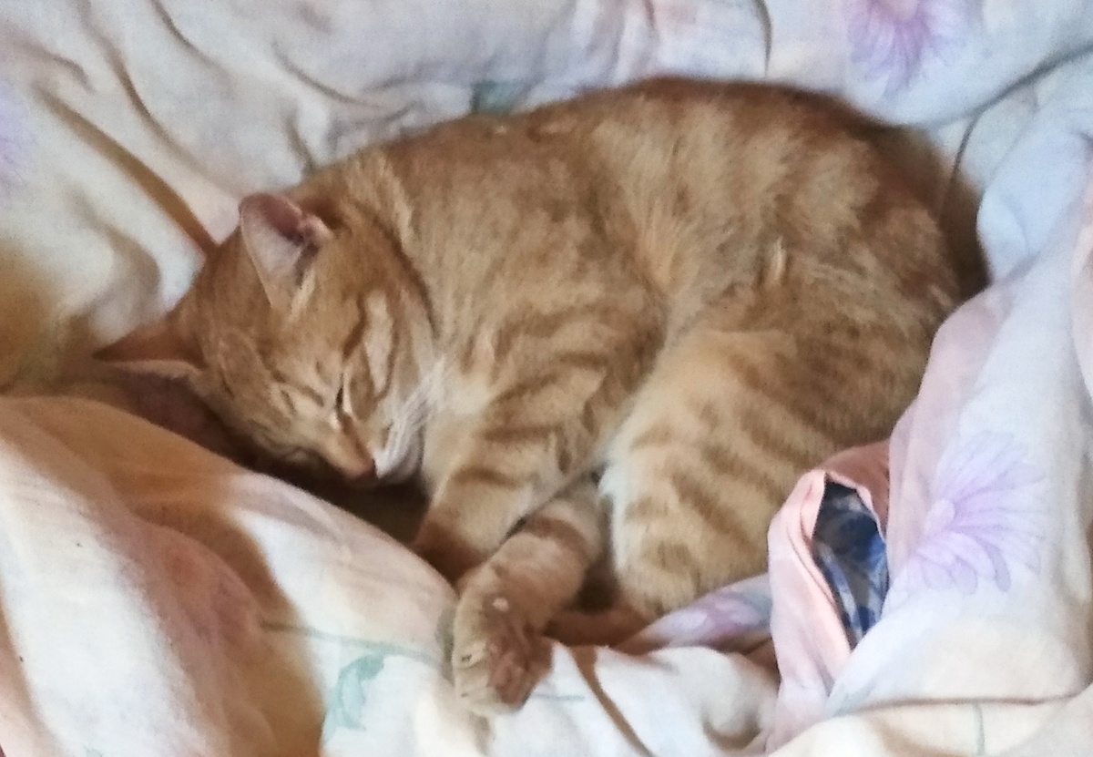 личное фото