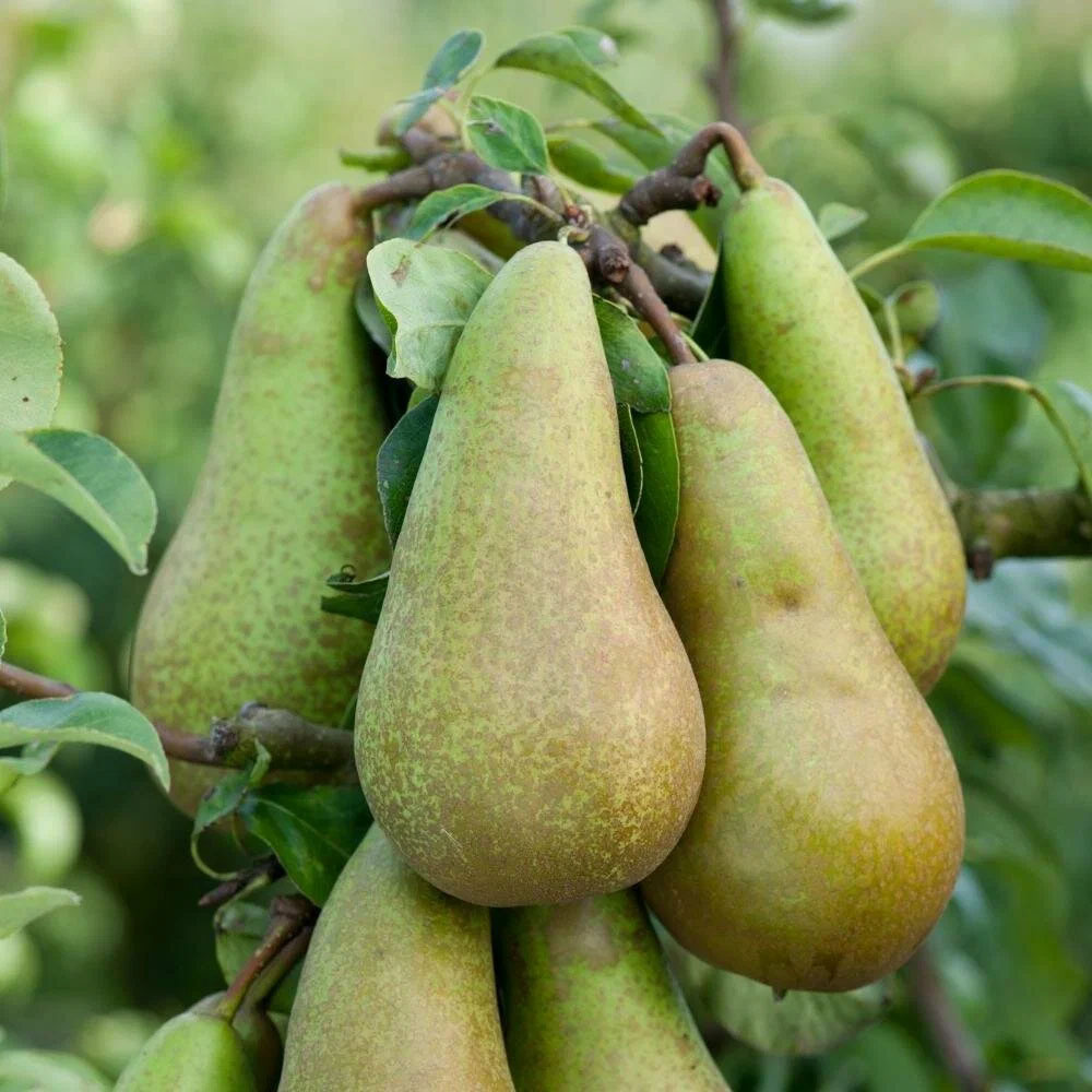 Это фото из интернета, а ниже будут все лично мои. 