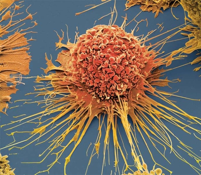 Фото взято из открытых источников