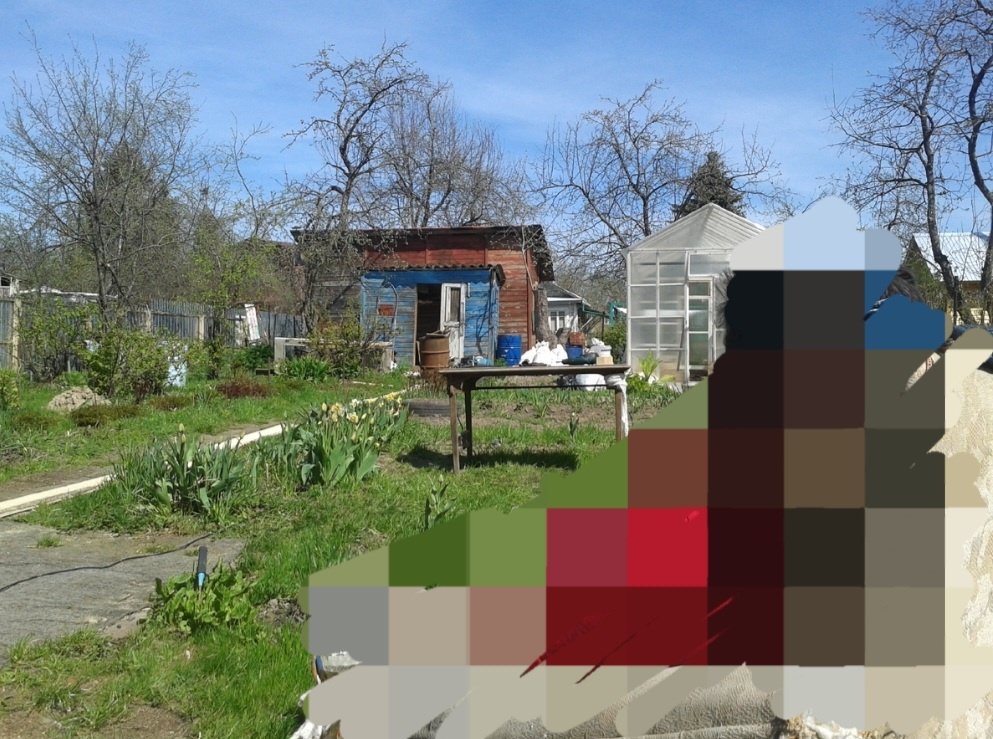 2015 год. Вид на участок. Самой красивой постройкой на тот момент, на мой взгляд, была теплица.