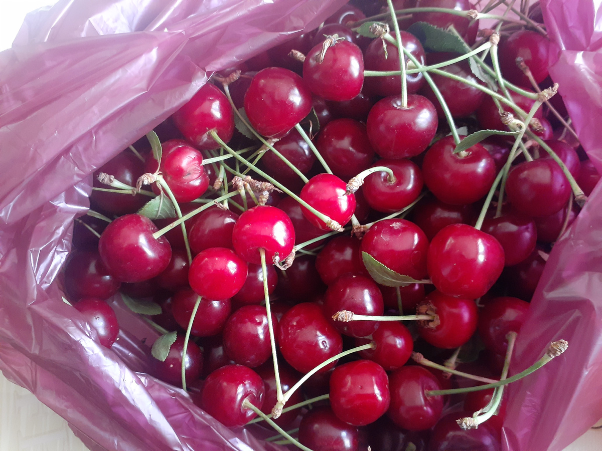 вишня по 200 рублей за 1 кг на рынке