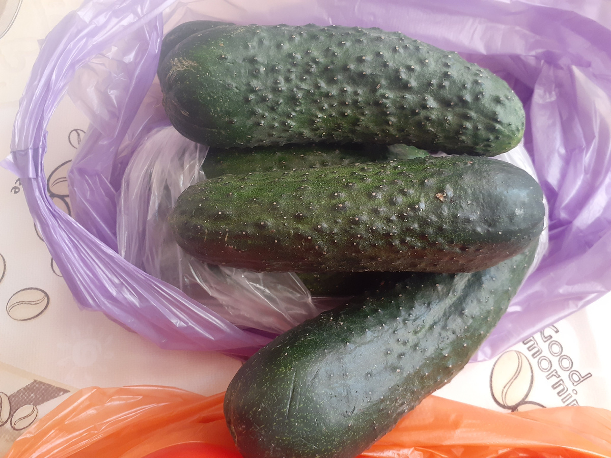 огурцы зпа 50 рублей 1 кг