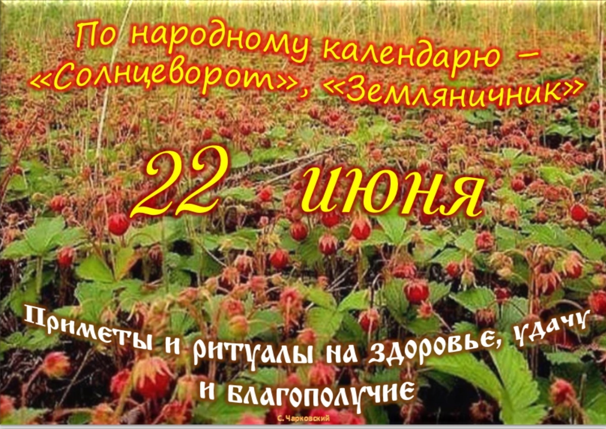 Встречаем новый день