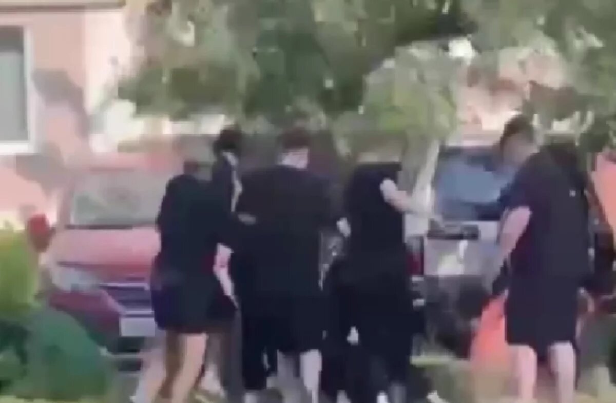    В Рязани толпа подростков избила лежащего на траве мужчину