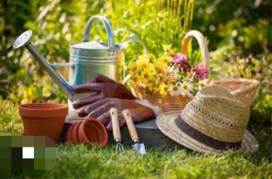 Взято из открытых источников интернет сайтов.