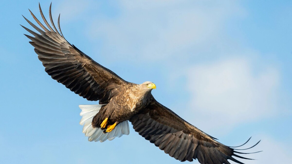    Фото: Sergey Uryadnikov/Shutterstock/Fotodom