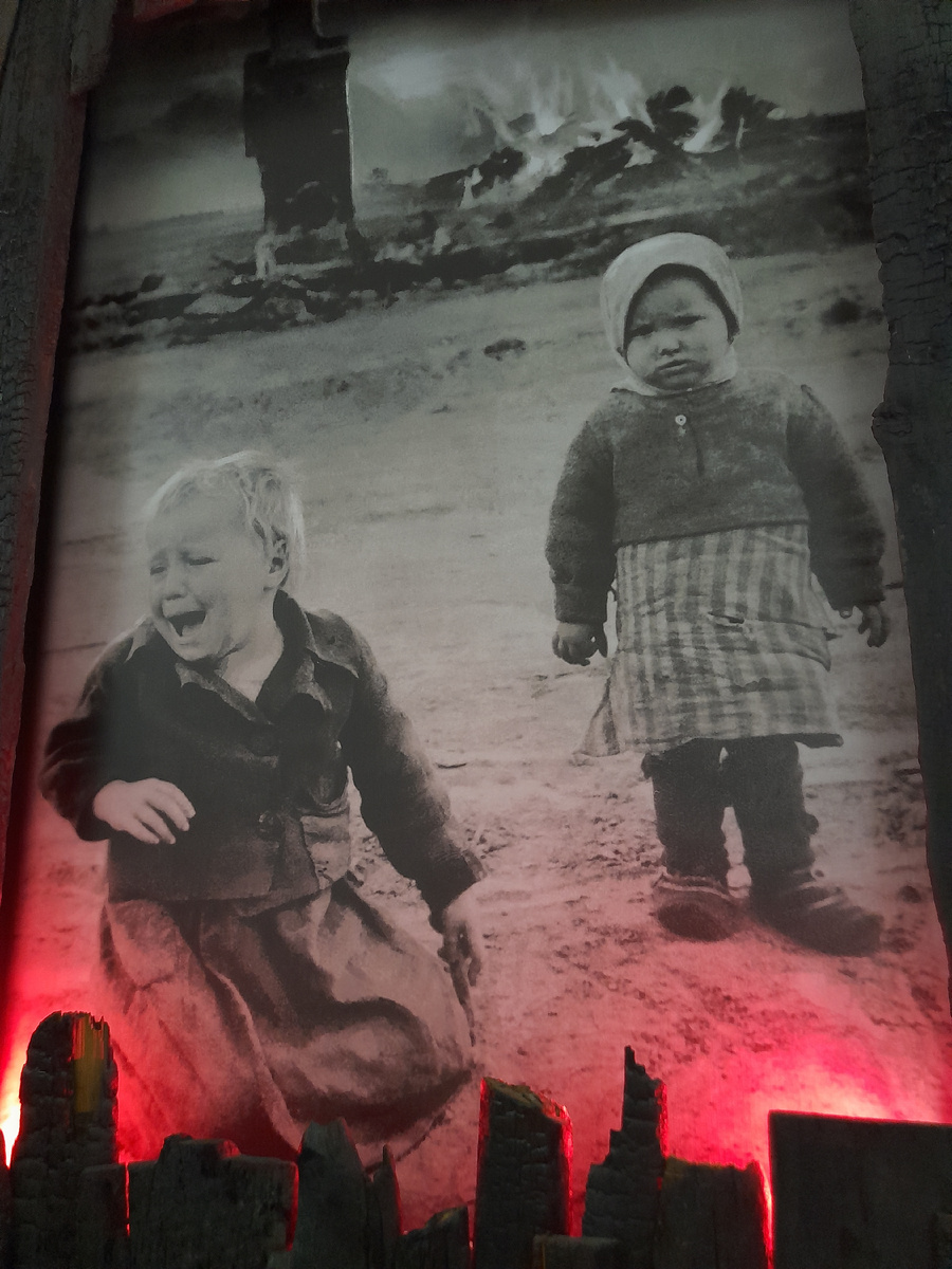 Дети-сироты