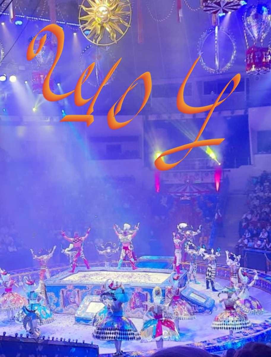 Цирковое выступление