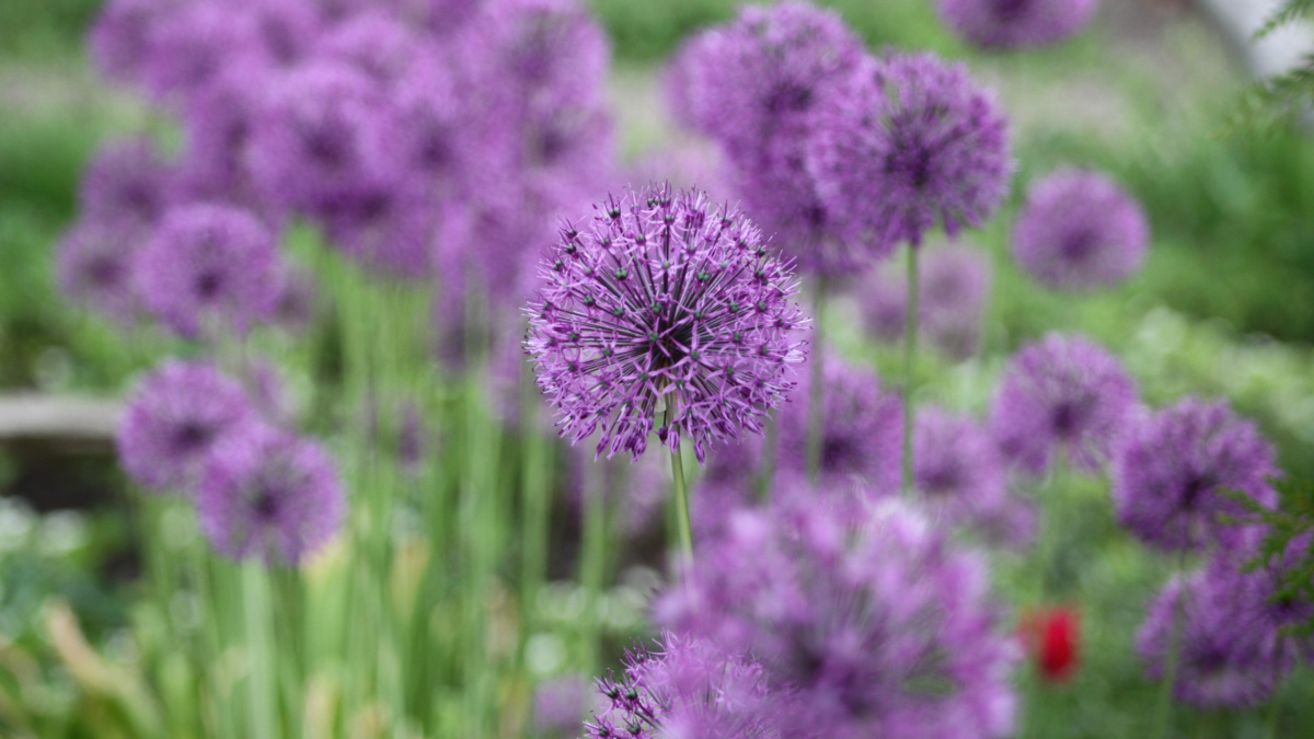 ИА «Тульская пресса»📷
