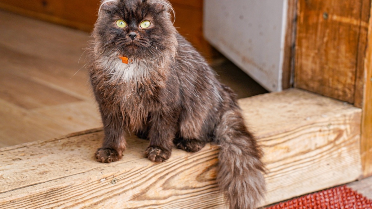 Светлана Мулыкина📷
