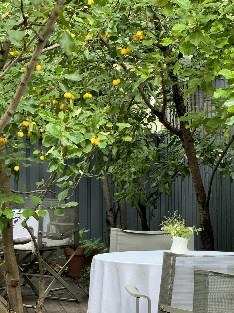 "САД " ресторан Санкт-Петербург