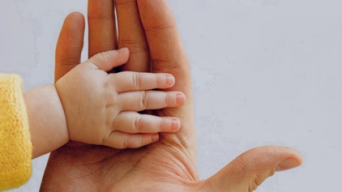    307 саратовских пар воспользовались процедурой ЭКО в 2025 годуНовости Саратова и области – Сетевое издание «Репортер64»