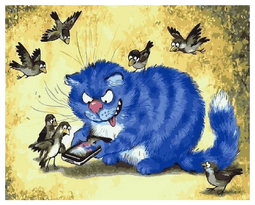 Котик Рины Зенюк