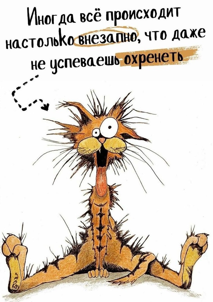Картинка с интернета. https://ru.pinterest.com/pin/708050372708902979/