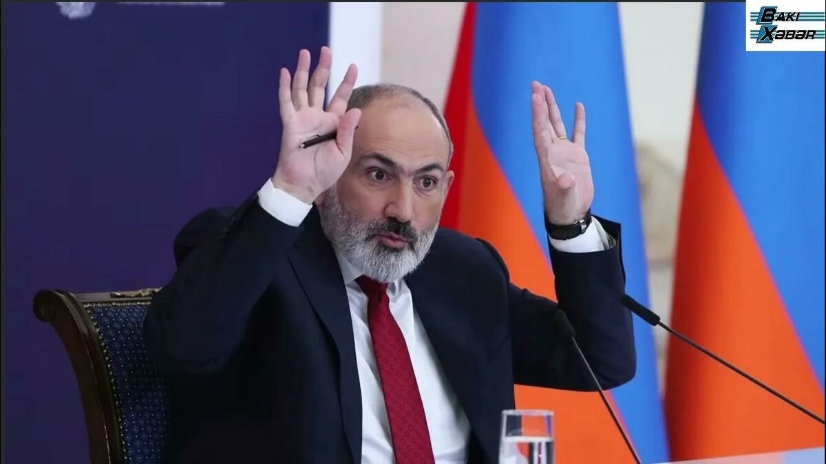 Фото их открытых источников сети Интернета (Яндекс - картинки)