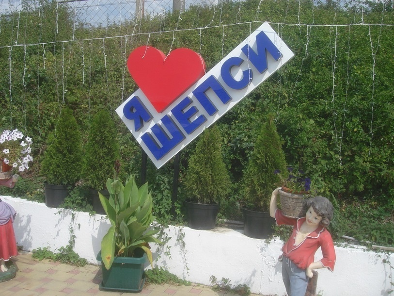 Шепси