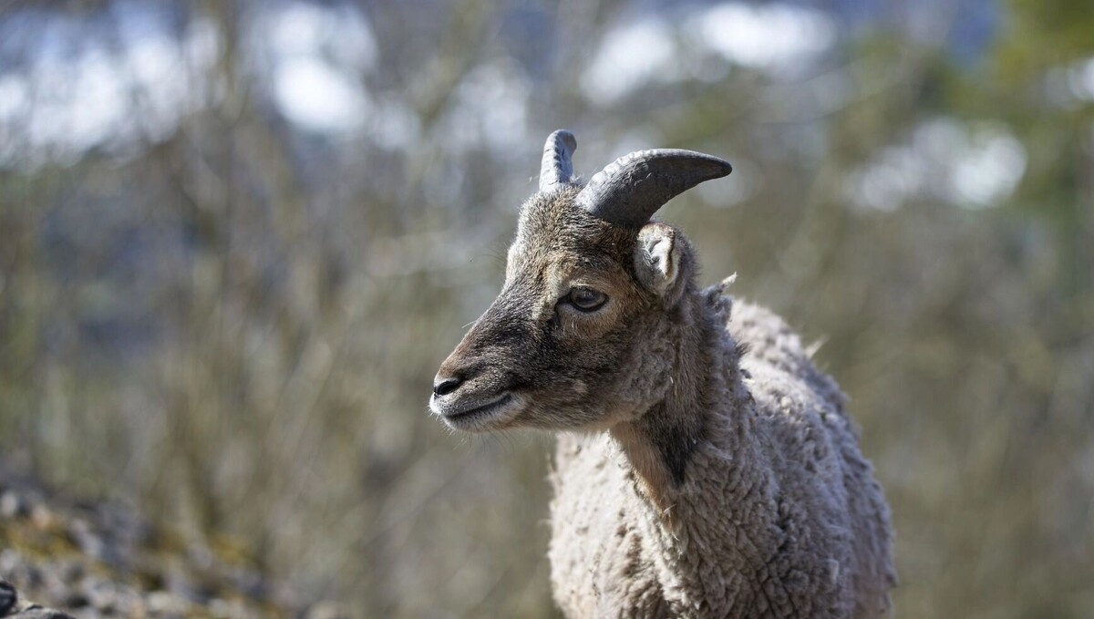     Источник: freepik.com