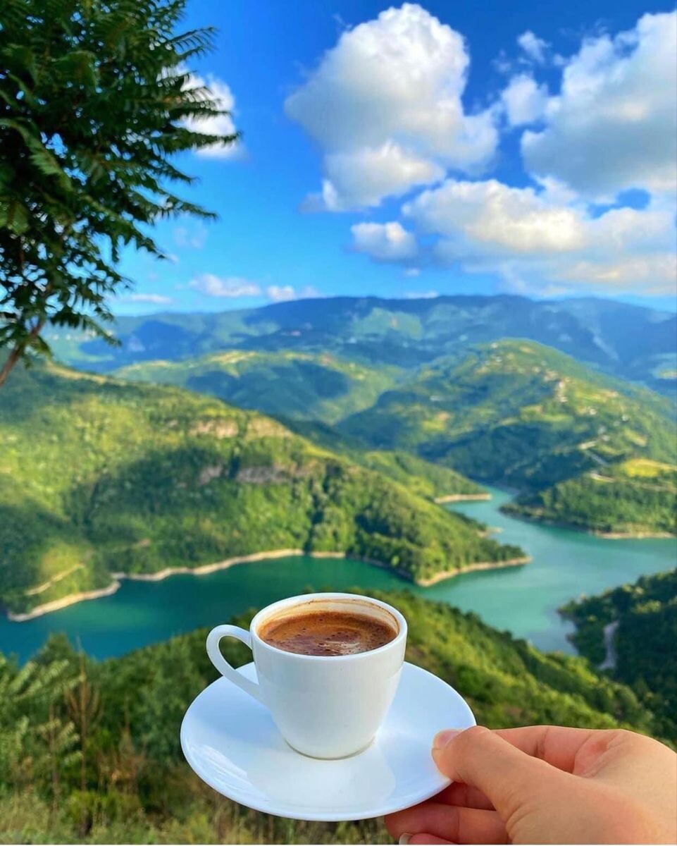 Яндекс Открытый источник 