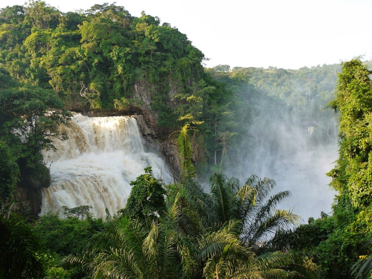 Яндекс Открытый источник. Конго.