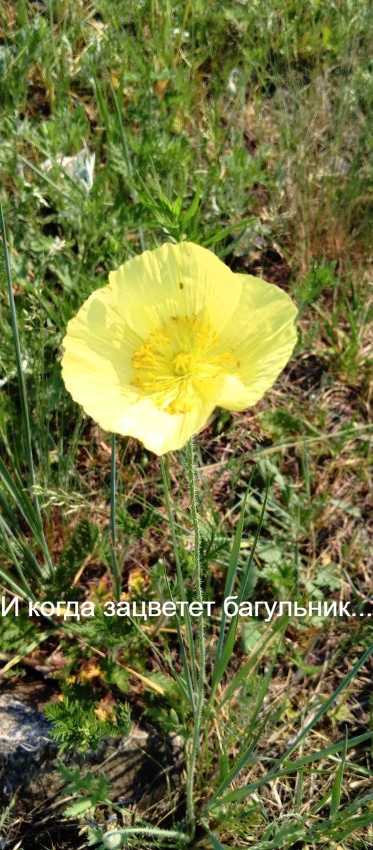 Фото автора.