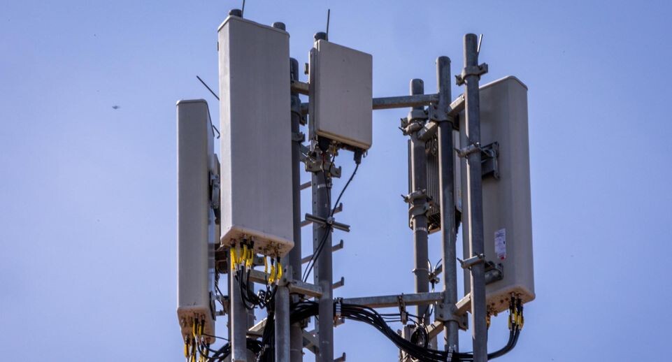    Jens BÃ¼ttner/dpa / www.globallookpress.com