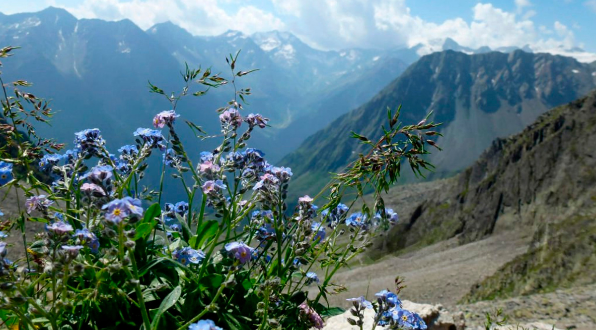 С заботой о здоровье легких