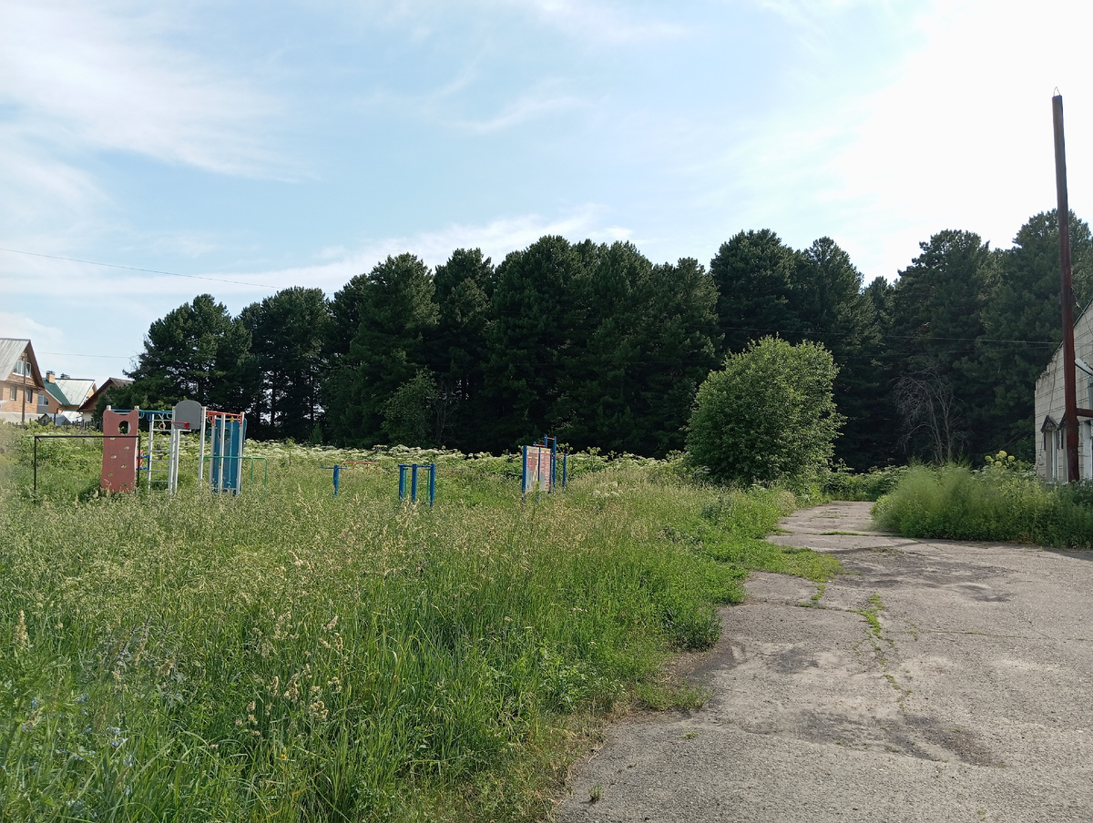 Уже не мои виды