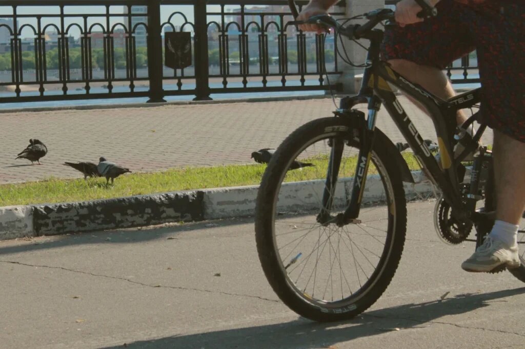    Фото: Амур.инфо