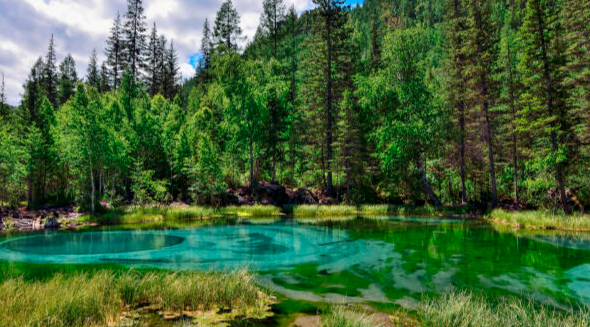 Алтай. Голубые озёра