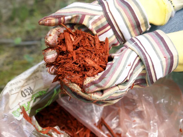 как сделать грядки, которые не нужно полоть