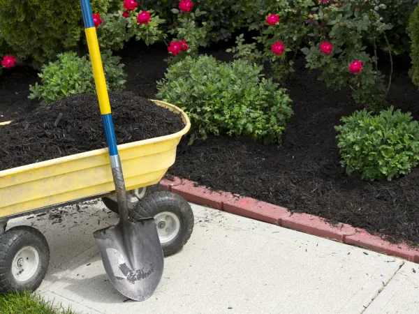 мульчирование компостом