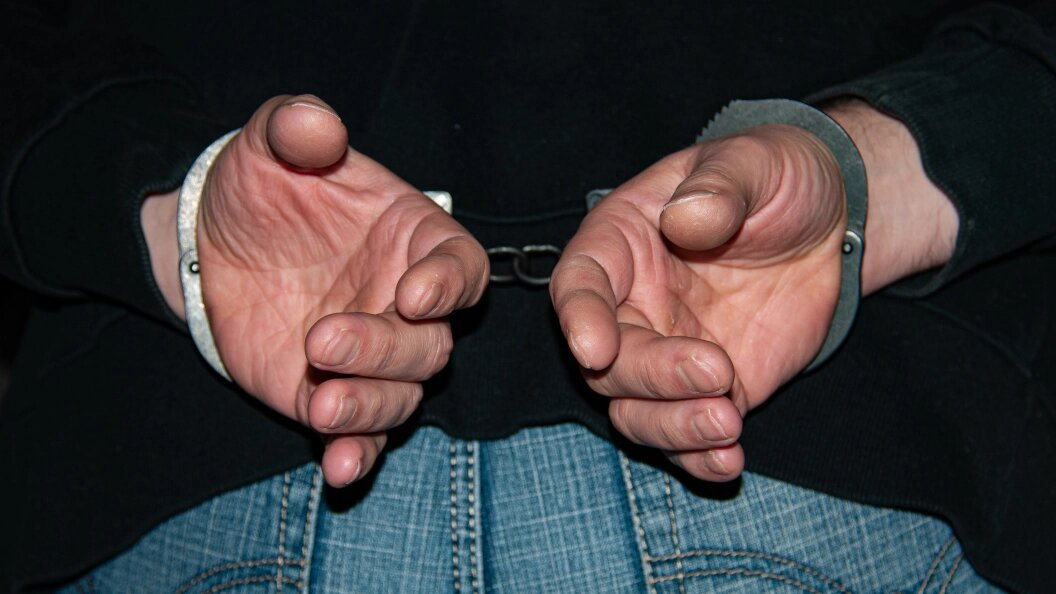    Фото: Svetlana Vozmilova/Globallookpress