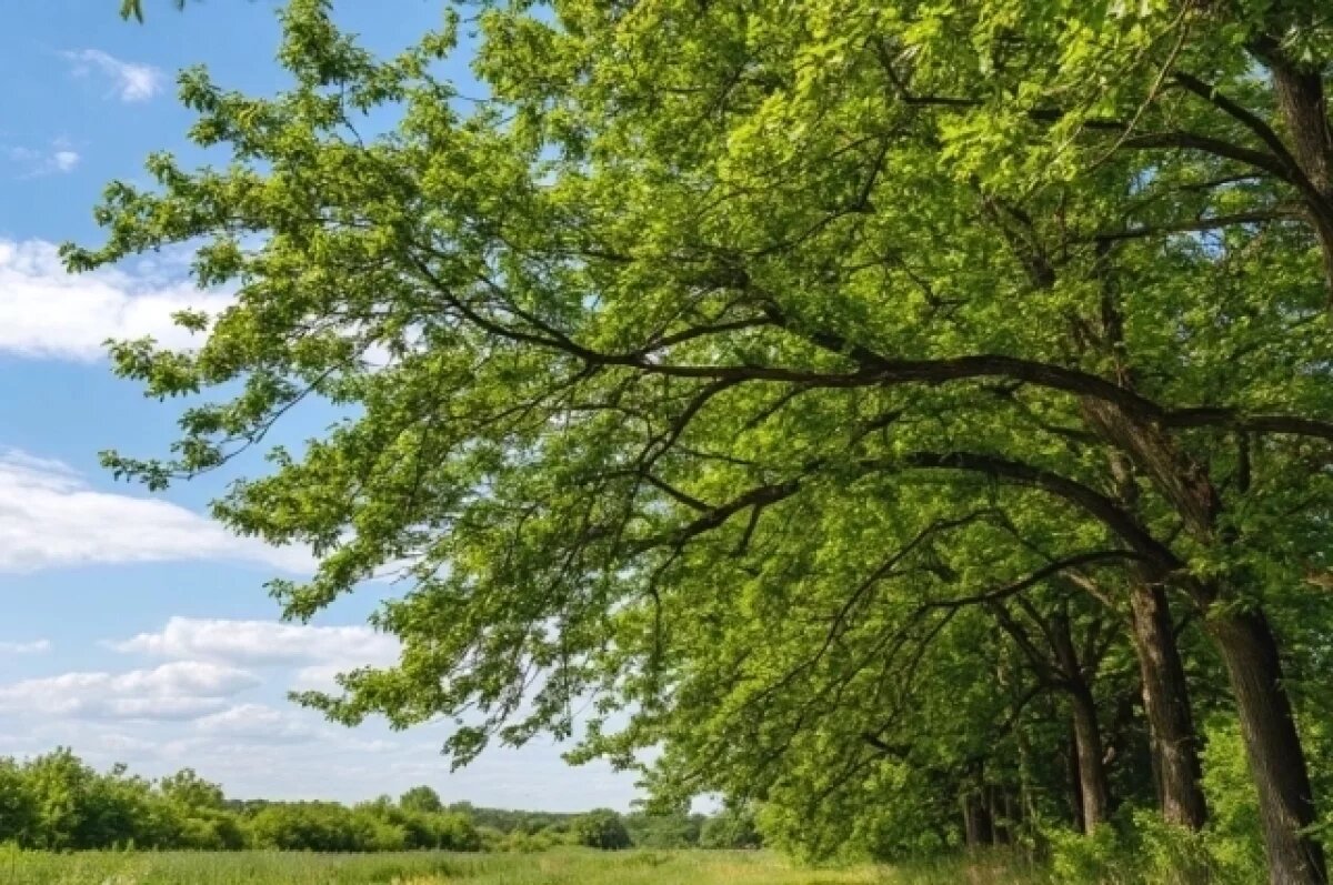    В Кузбассе подсчитывают ущерб от непогоды