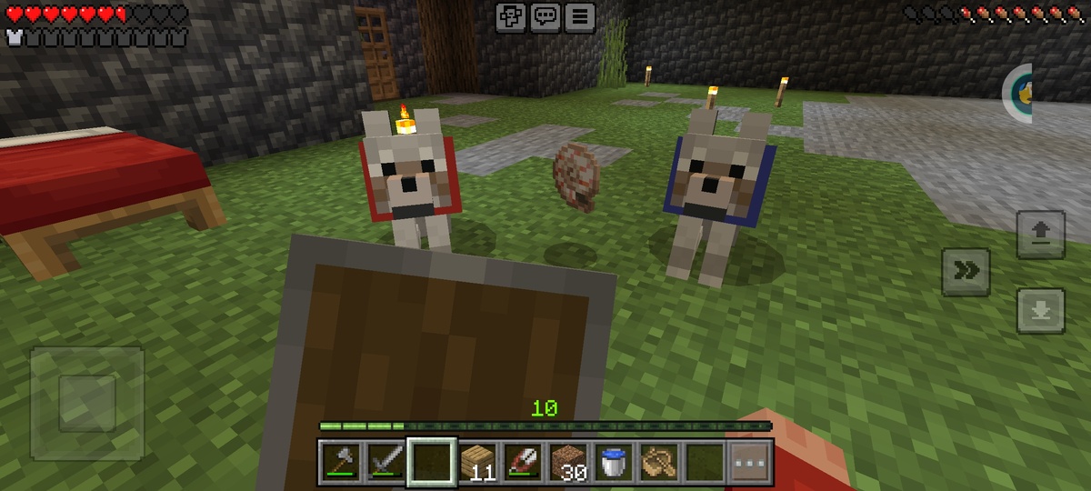 Фото моих питомцев в этом мире на память!!! 