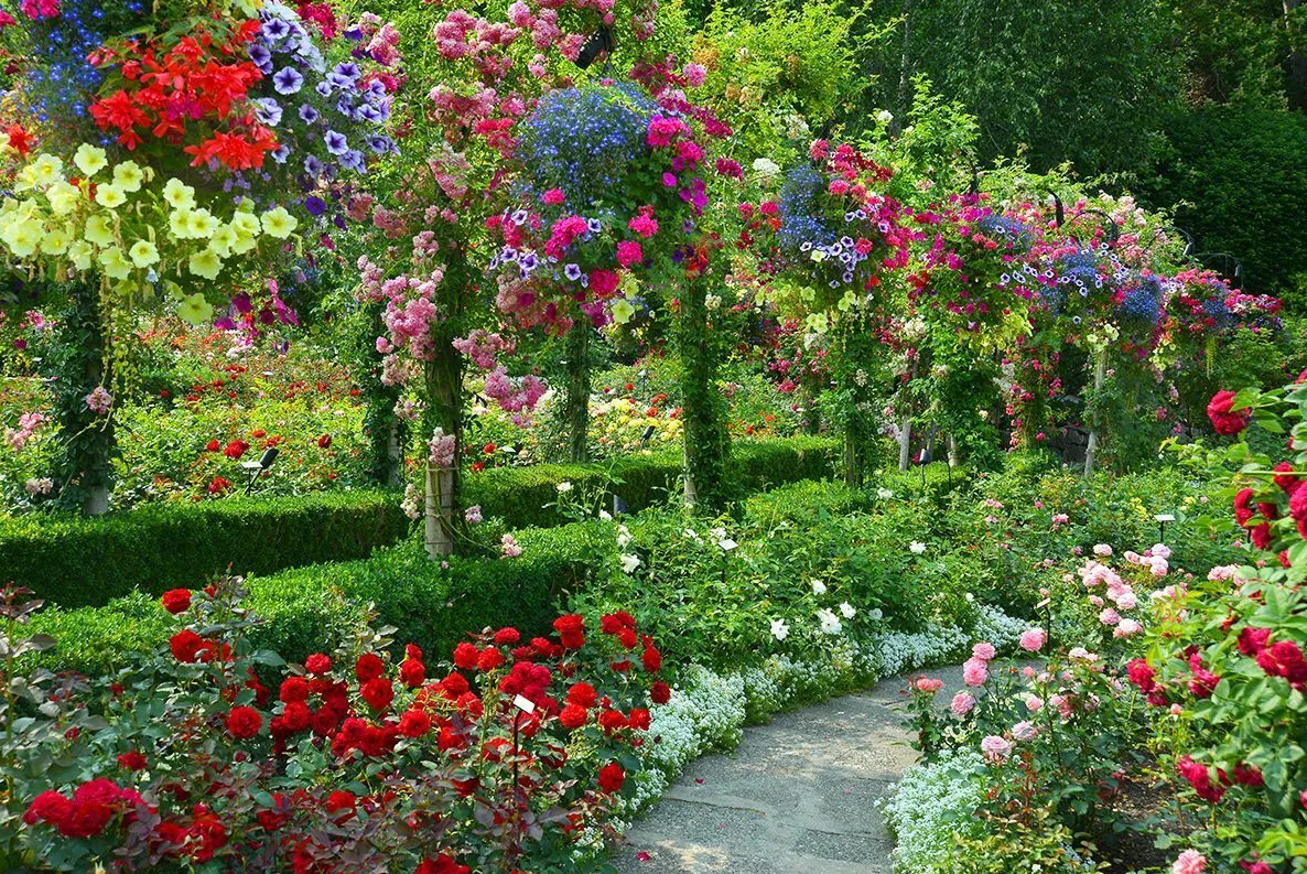 Из интернета.