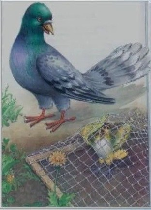 Картинка из открытых источников сети Интернет 