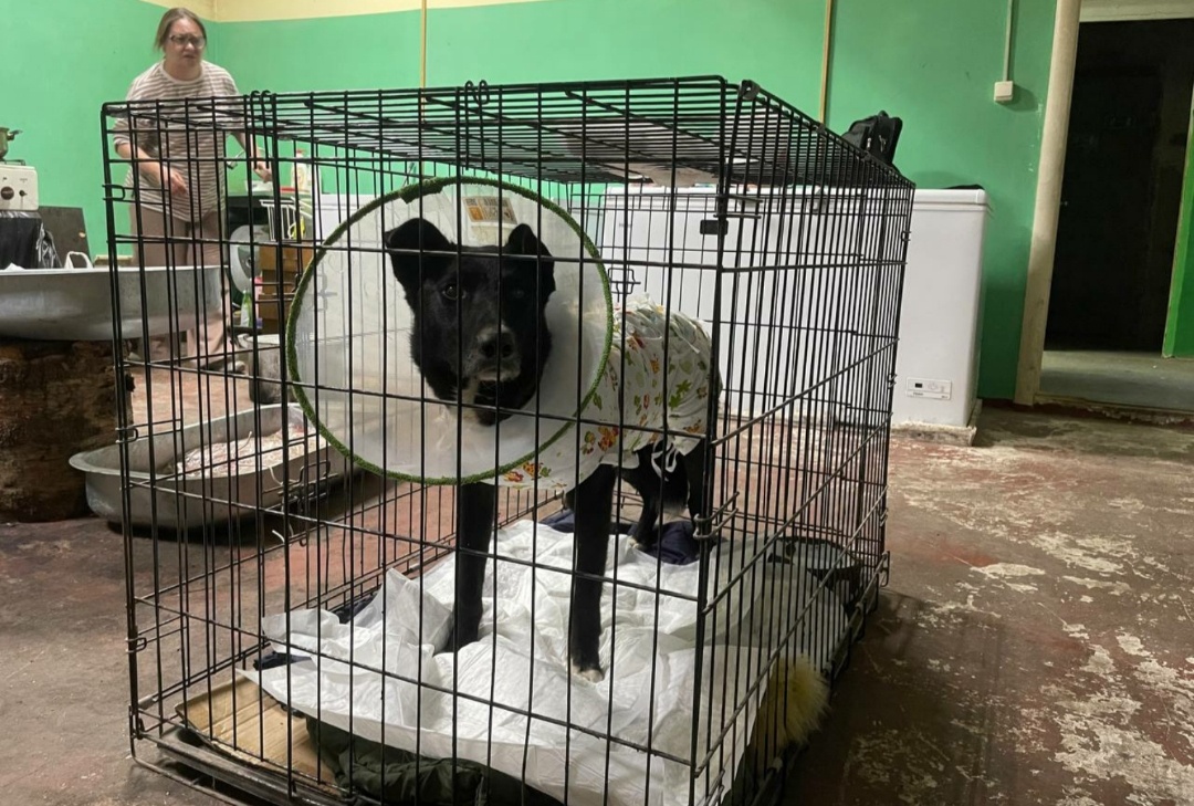 После операции