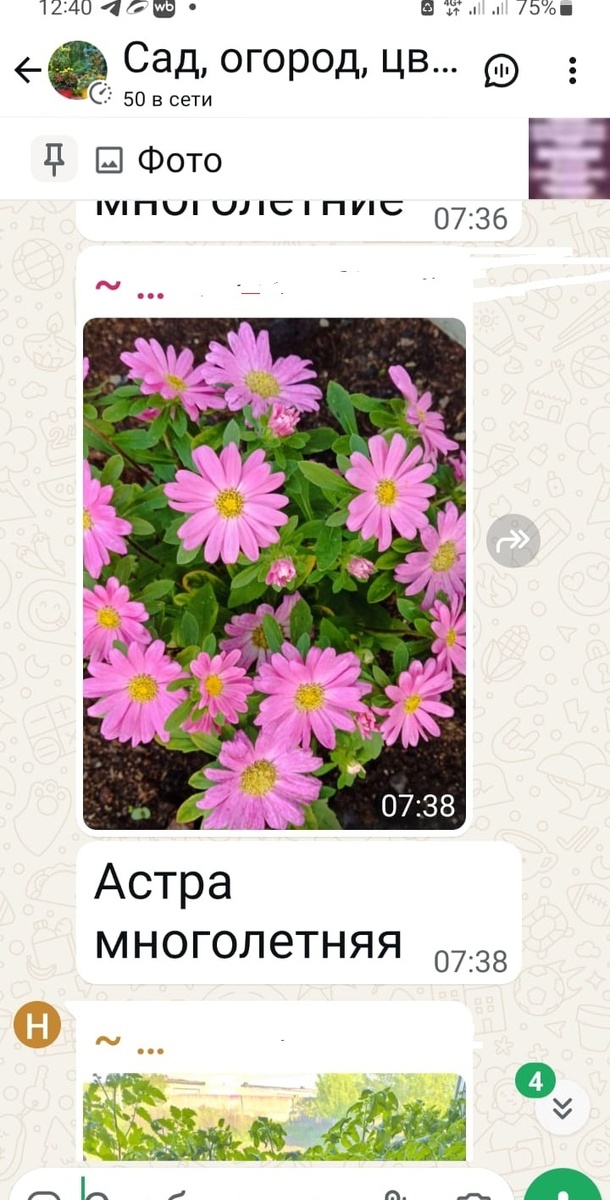 Скрин со страницы группы