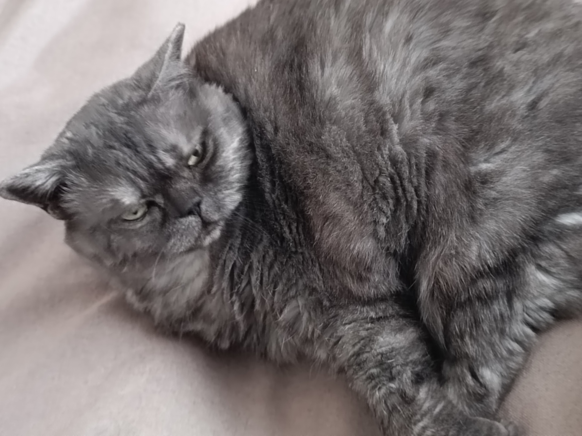 А не дрыхнуть на боку весь день 🤩