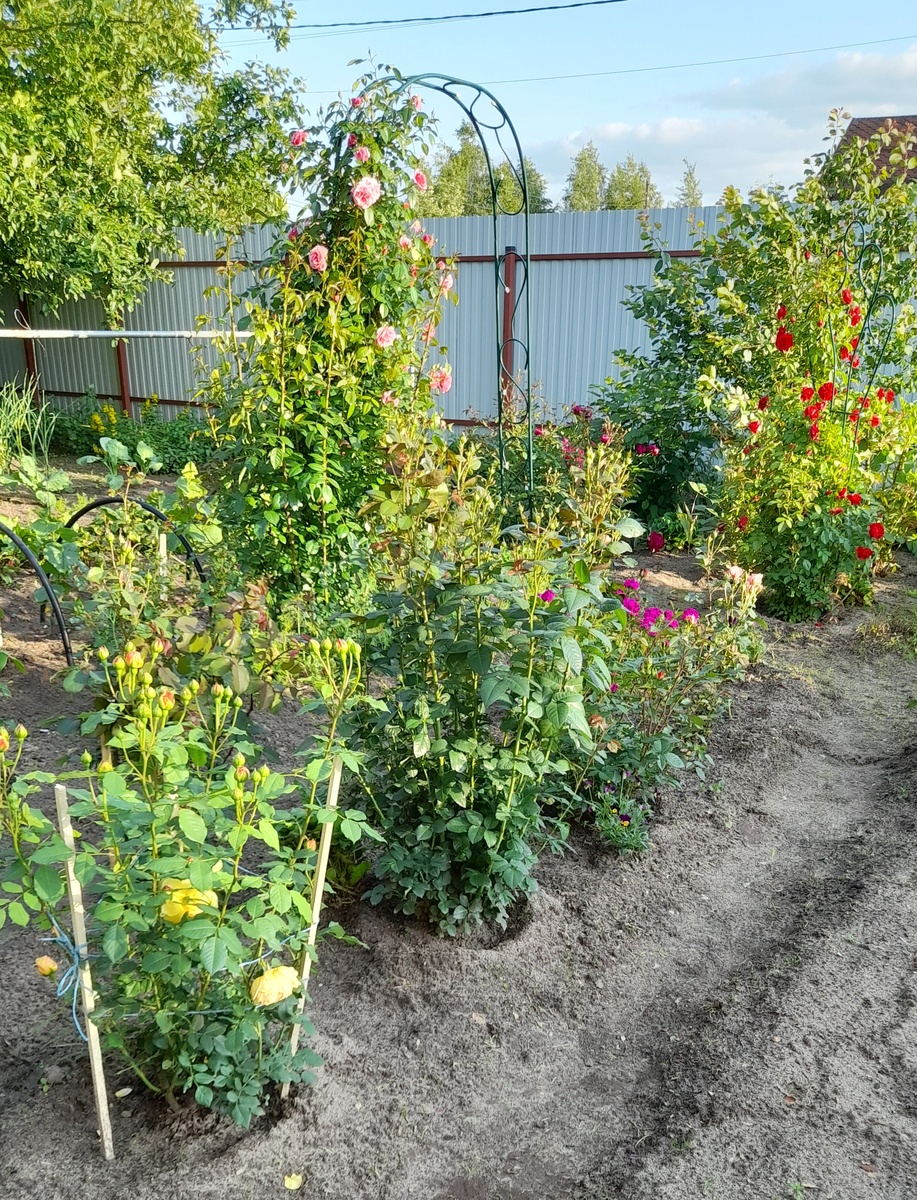 Фото автора 