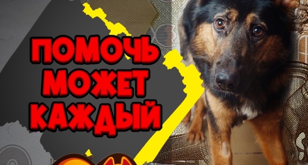 Разве мои 100 рублей спасут ситуацию? СПАСУТ!
