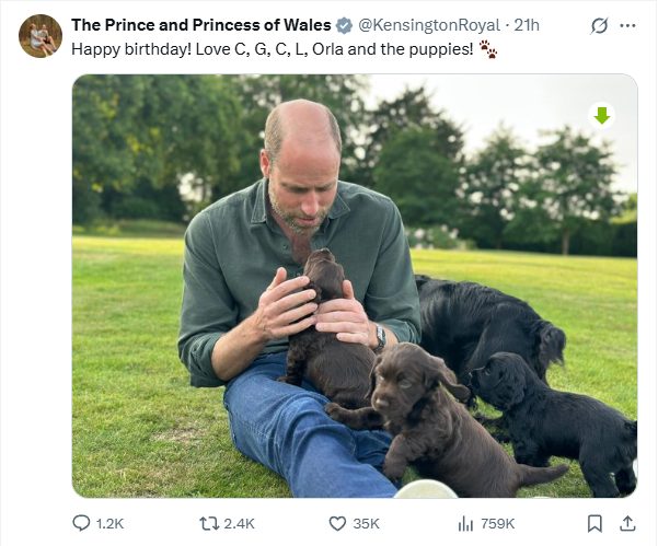 Автор фотографии - Кэтрин, принцесса Уэльская. Официальный аккаунт принца и принцессы Уэльских в соц.медиа