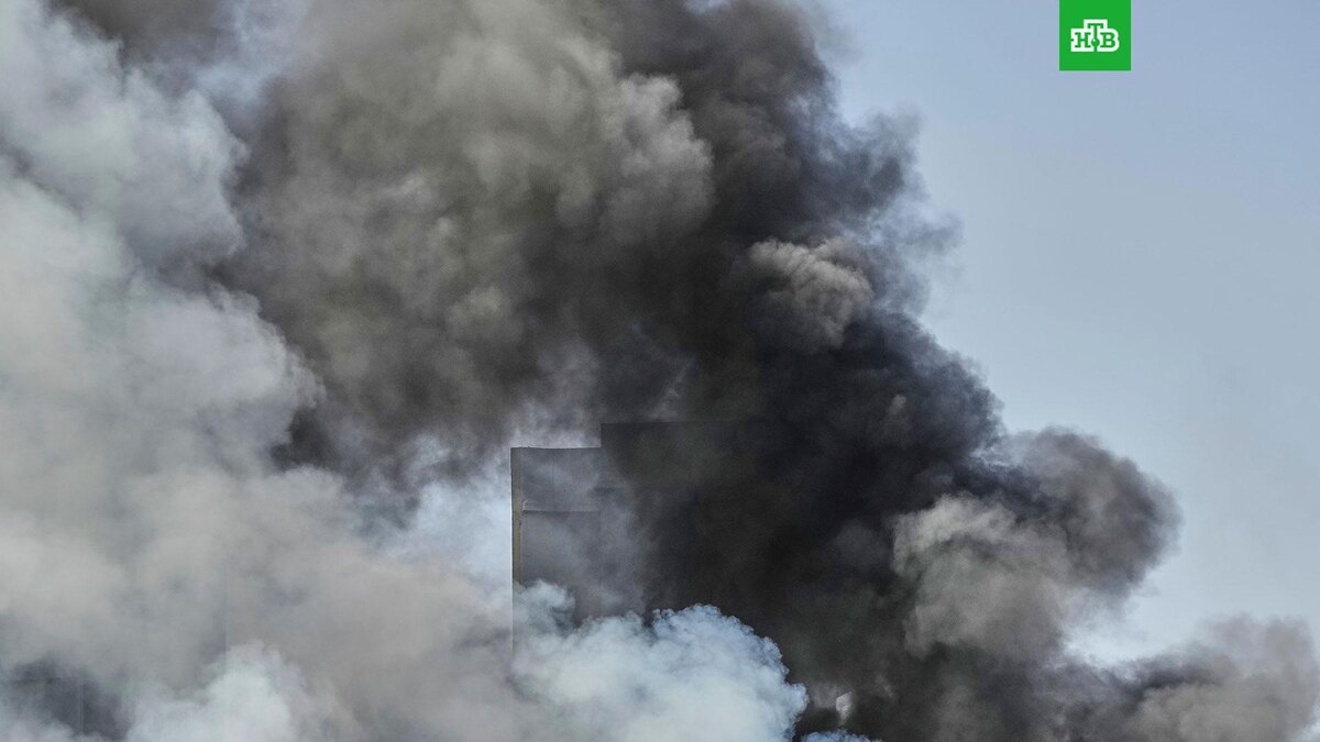    Фото: Associated Press © 2025, Leo Correa