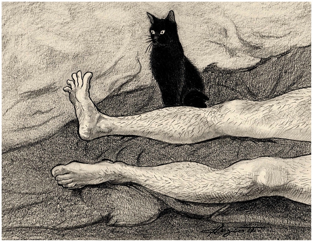 Очень хорошая пародия на "законную цель" . 