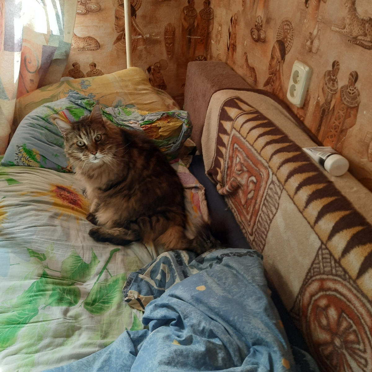 Ты кто такой? Иди давай! До свидание!