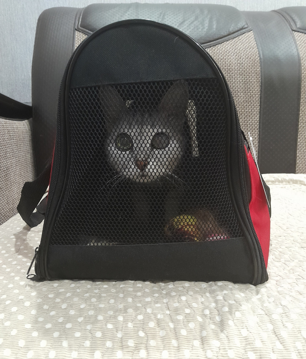 Лиля или просто "уши".