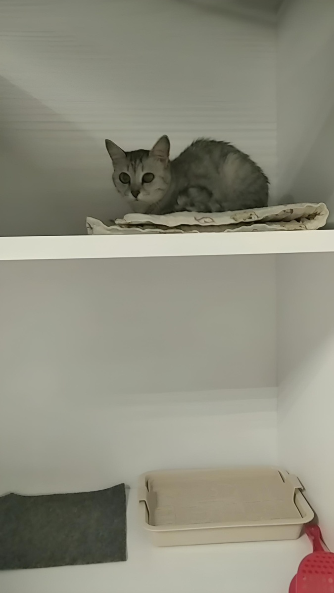 Номер для Лили.