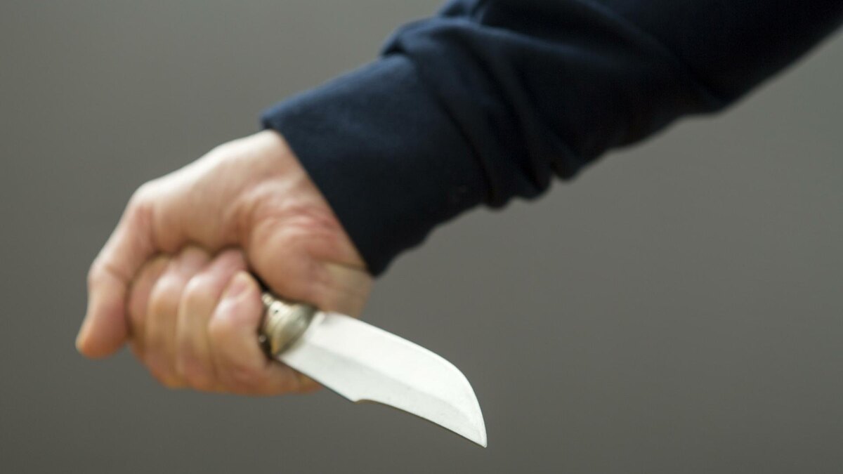    Фото: Nikolay Gyngazov/globallookpress.com